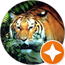 Luis Miguel profile picture